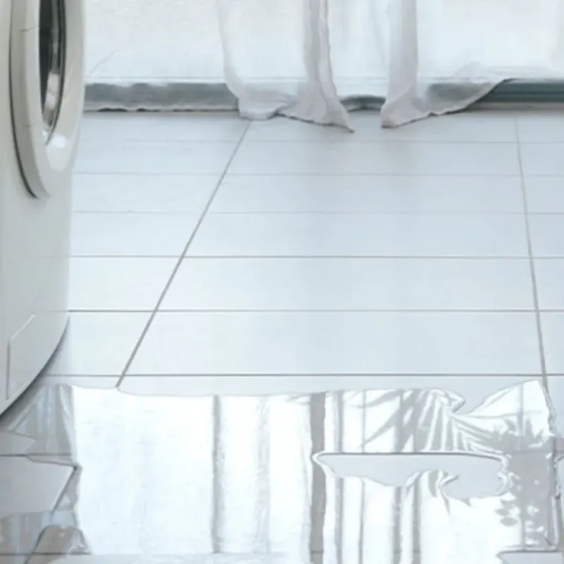 Appliance Leak Cleanup in Paradise, CA