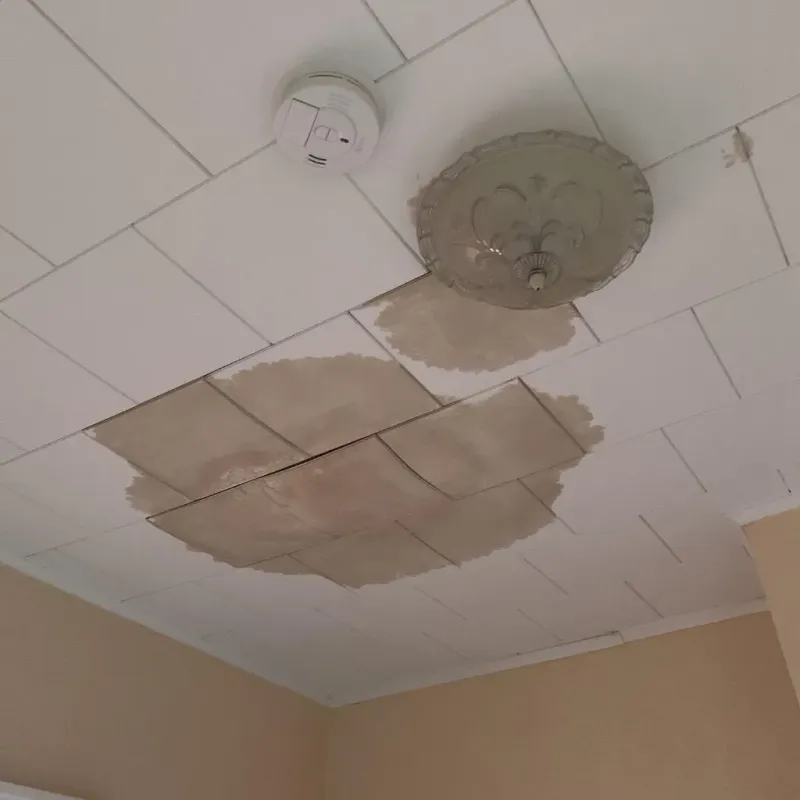 Ceiling Water Damage Repair in Paradise, CA