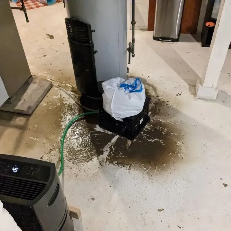 Sewage Backup Cleanup Service in Paradise, CA